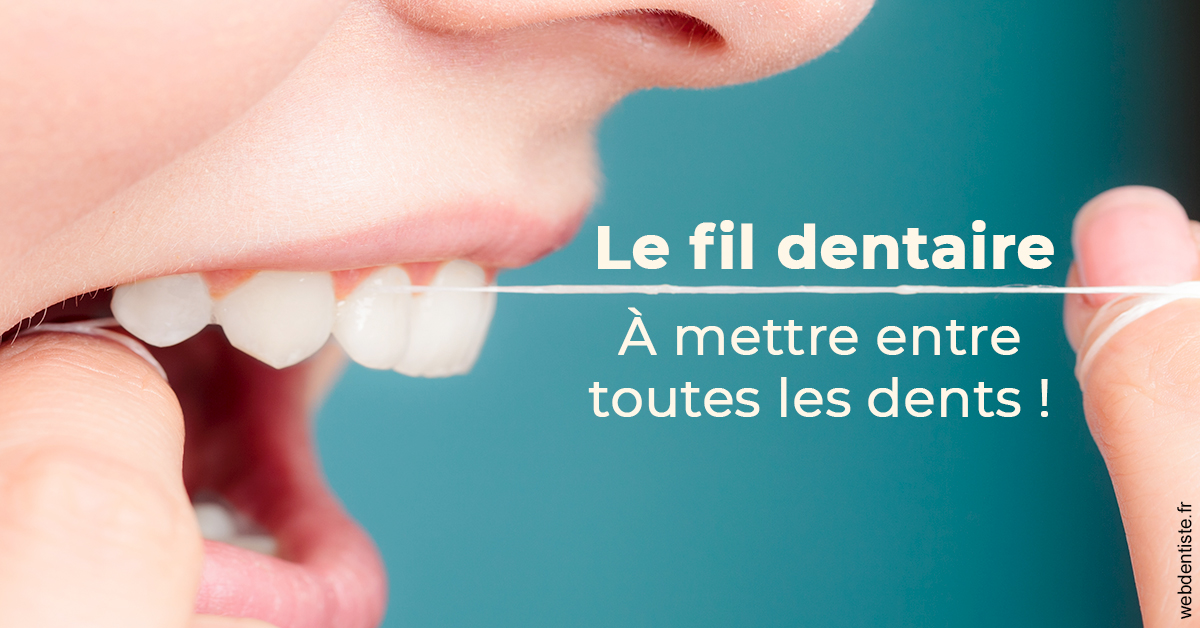 https://dr-bonnel-marc.chirurgiens-dentistes.fr/Le fil dentaire 2