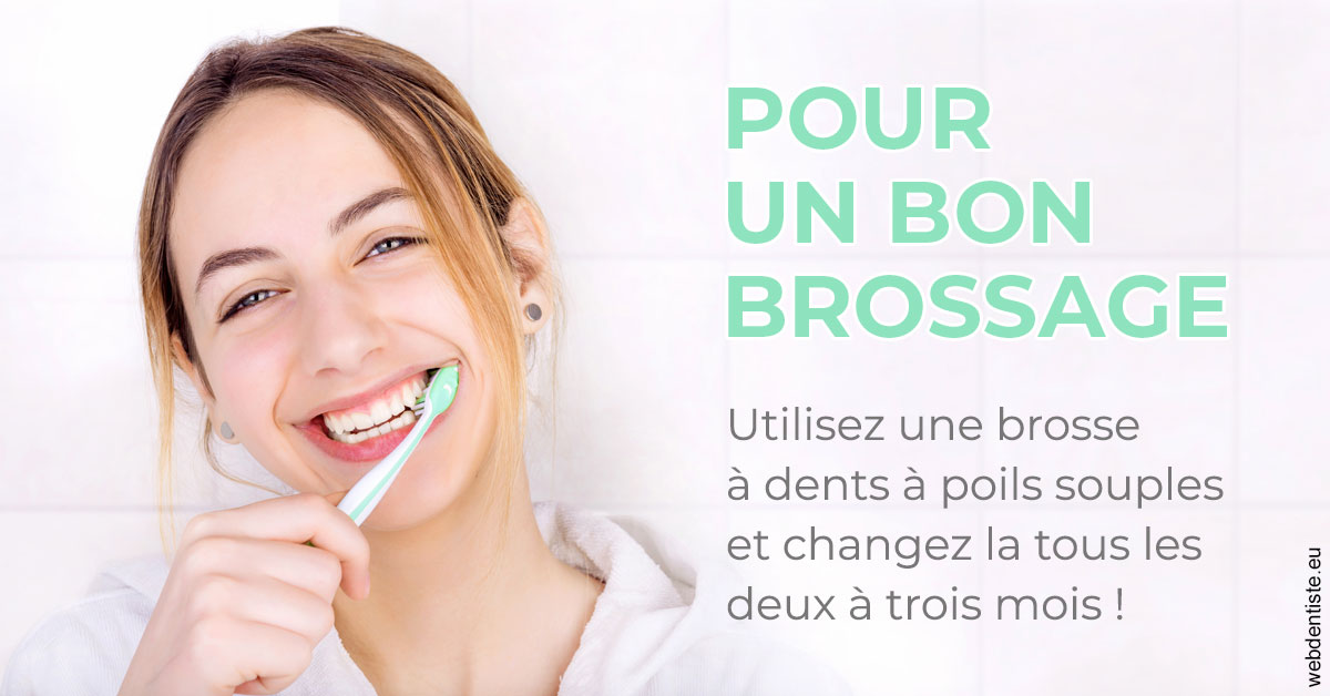 https://dr-bonnel-marc.chirurgiens-dentistes.fr/Pour un bon brossage 2