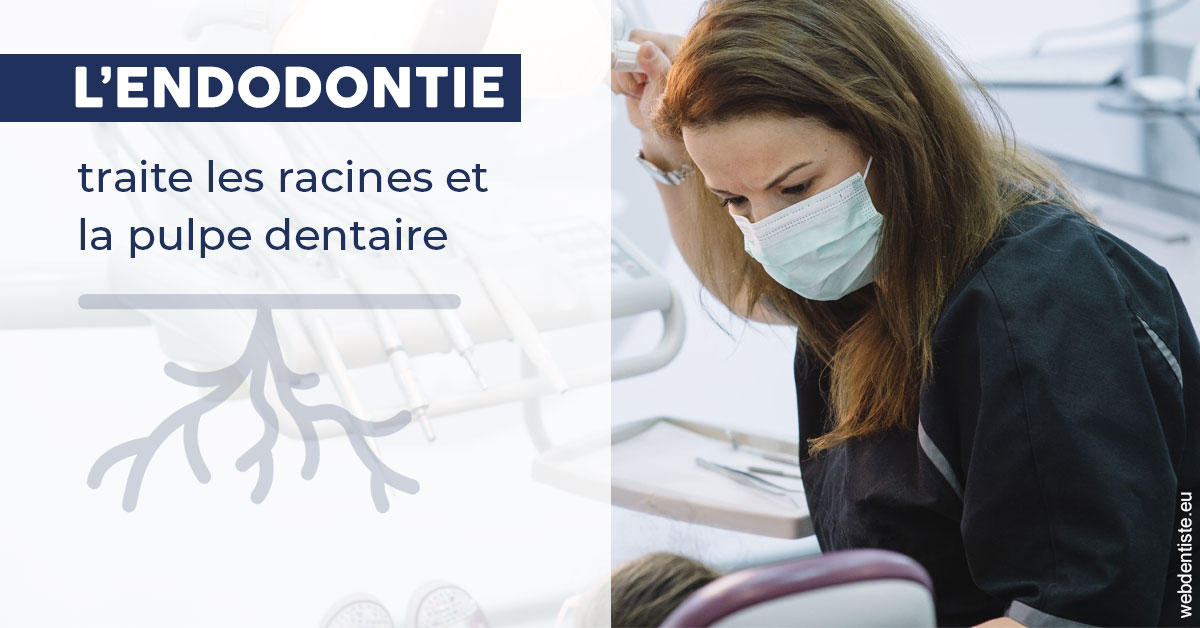 https://dr-bonnel-marc.chirurgiens-dentistes.fr/L'endodontie 1