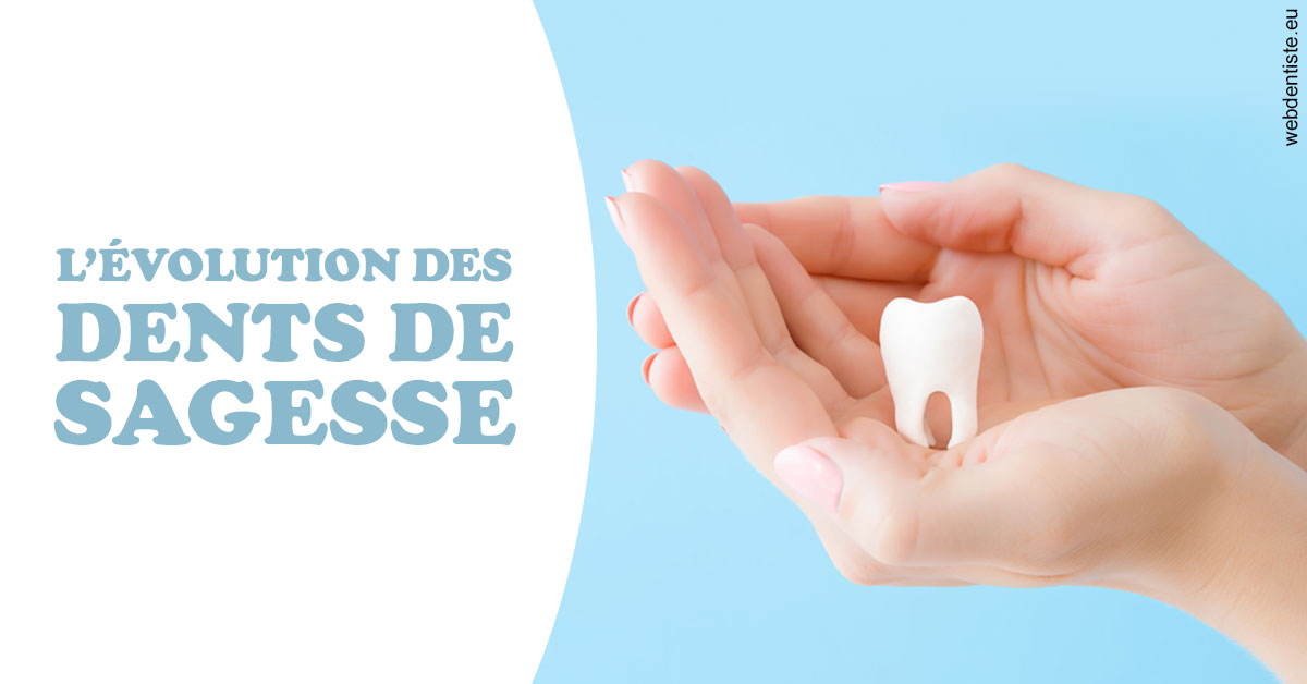 https://dr-bonnel-marc.chirurgiens-dentistes.fr/Evolution dents de sagesse 1