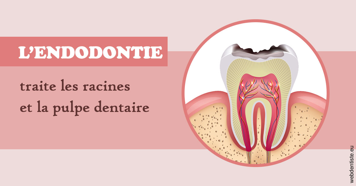 https://dr-bonnel-marc.chirurgiens-dentistes.fr/L'endodontie 2