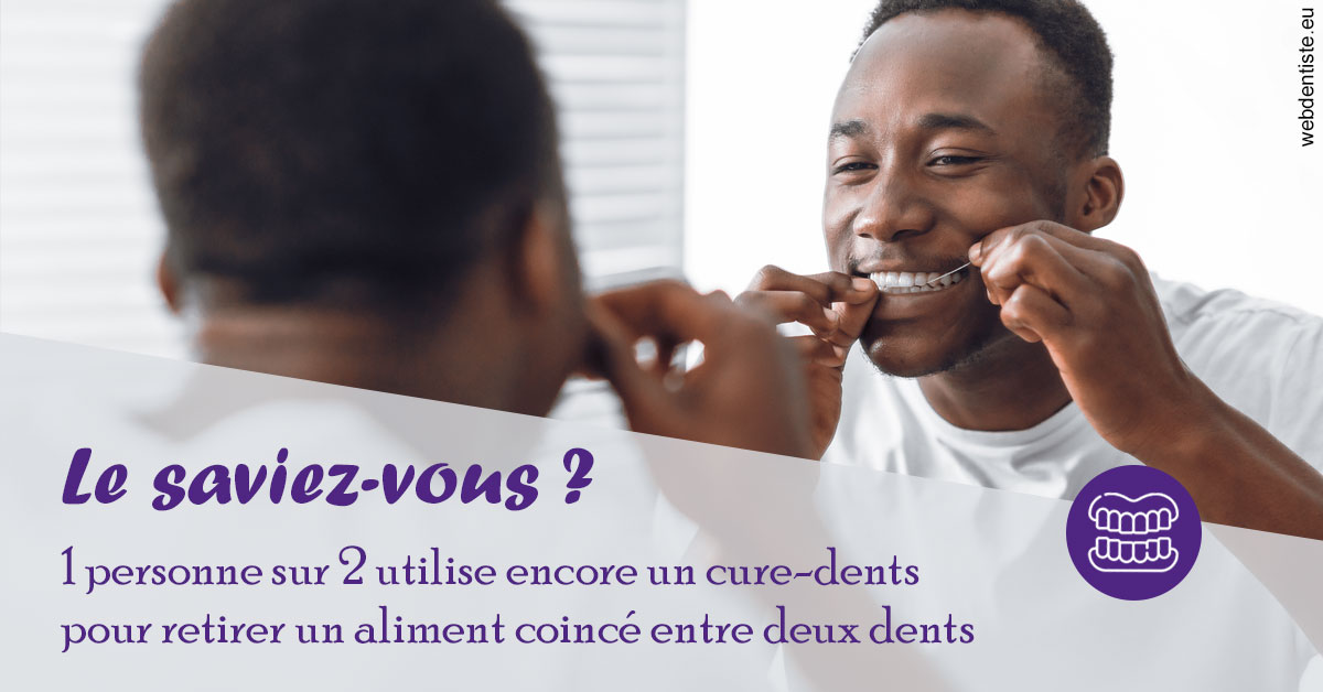 https://dr-bonnel-marc.chirurgiens-dentistes.fr/Cure-dents 2