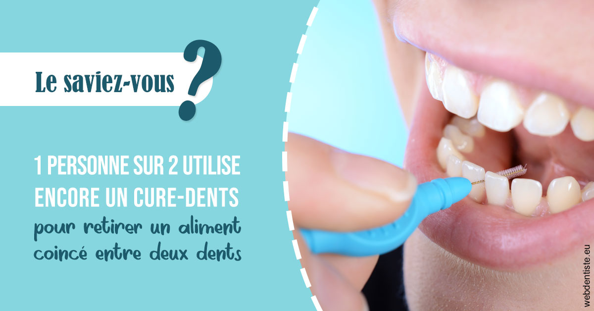 https://dr-bonnel-marc.chirurgiens-dentistes.fr/Cure-dents 1