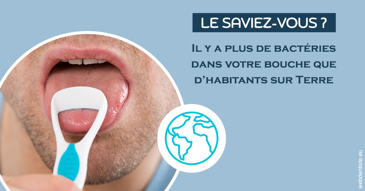 https://dr-bonnel-marc.chirurgiens-dentistes.fr/Bactéries dans votre bouche 2